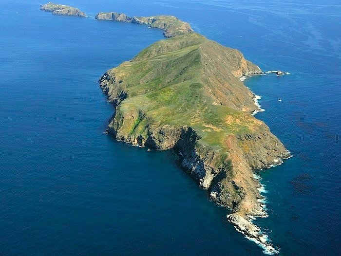 2707 Anacapa the Gator