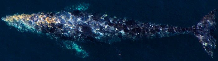 3014 Pointillist Prism