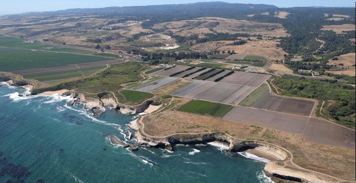 5148 Quiet Sea Scene