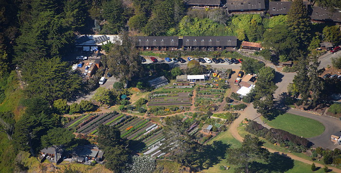 5779 Garden Of Delights