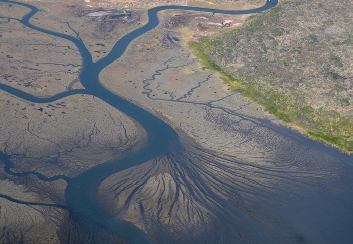 6039 Los Osos Mud Fan