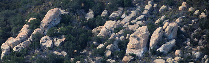 9736 More Impressions