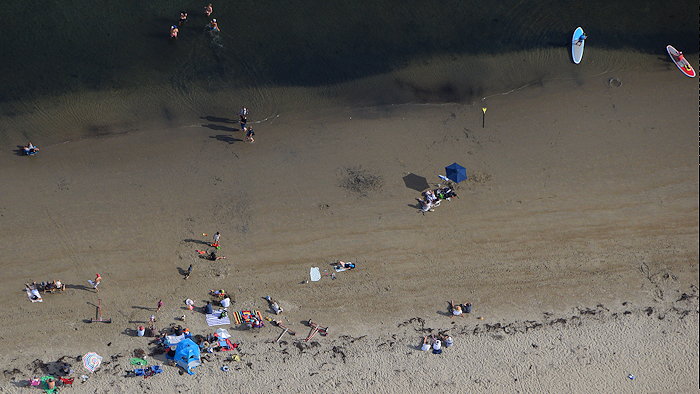 2600 Languorous Ledbetter