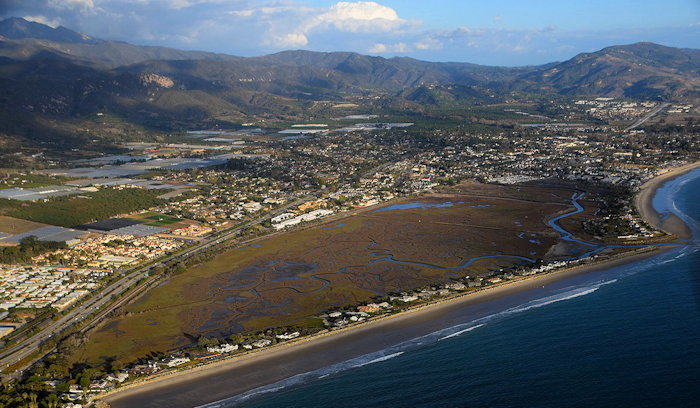 5022 Carp Salt Marsh