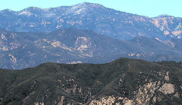 7015 Snow Dusted Reyes