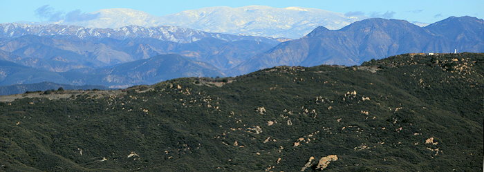 7223 Solid White Cap