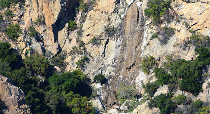 1726 Tangerine Alive