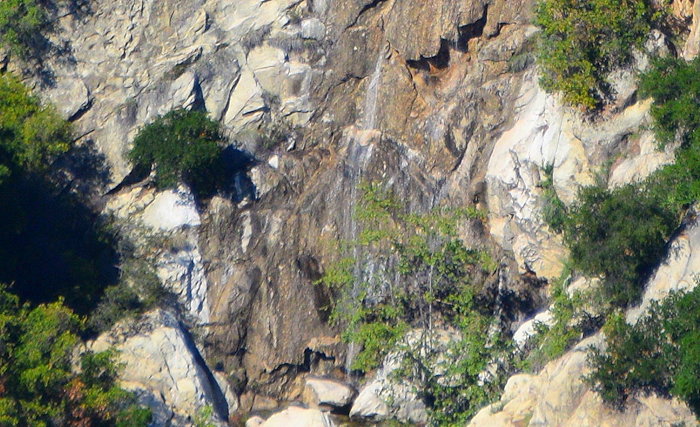 1726 Tangerine Falls Pool