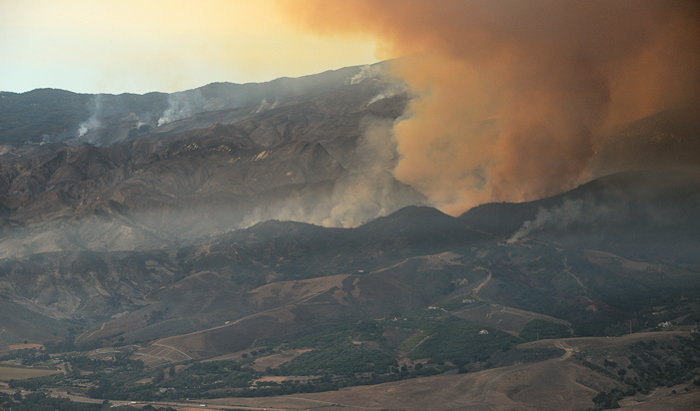 7335 Orange Is The New