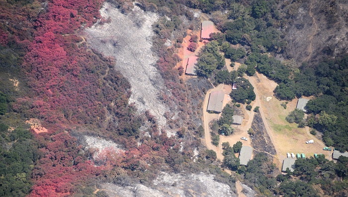 7743 Signs Of Struggle