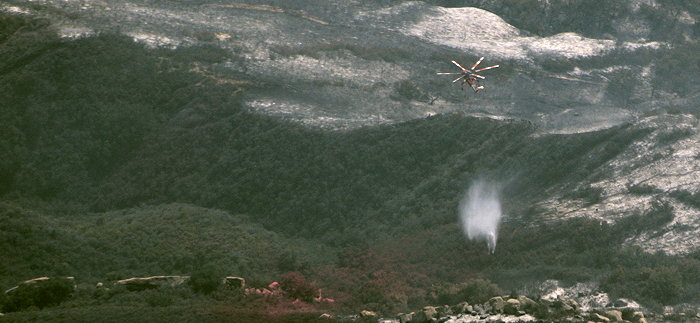 7890 Flying Fire Hose