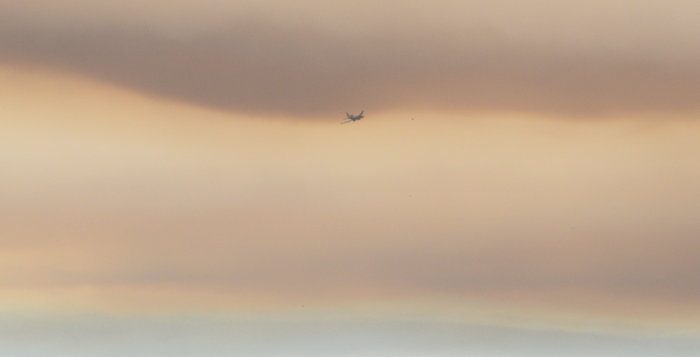 7533 Courage Over Fire