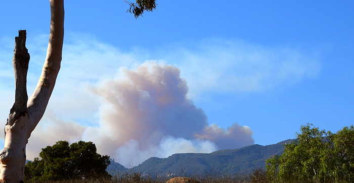 1397 White Puff 5:40pm