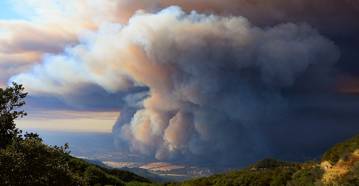 1409 Rey West Flank 8/20 5pm