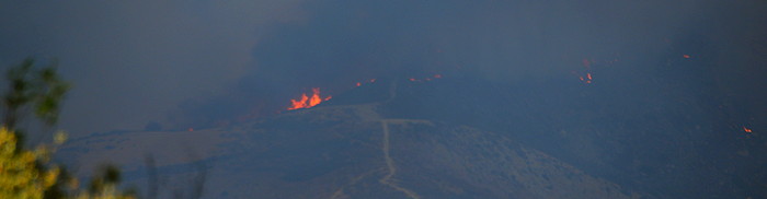 1443 Beneath the Plume