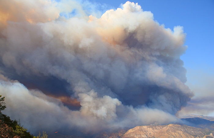 1454 Rey East Flank 8/20 5pm