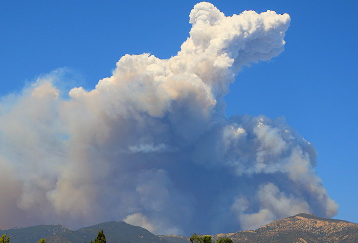 1483 Pyrocumulus Poodle