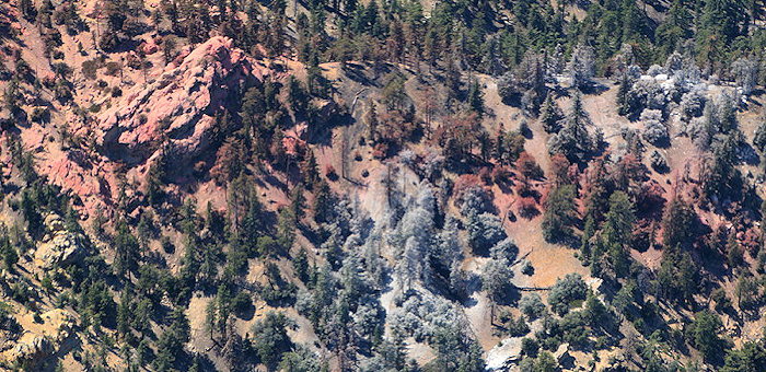 9812 Another Flocking