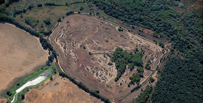 1517 Familiar Discovery