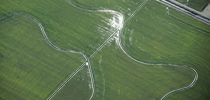 1577 Simpsons or Schultz?