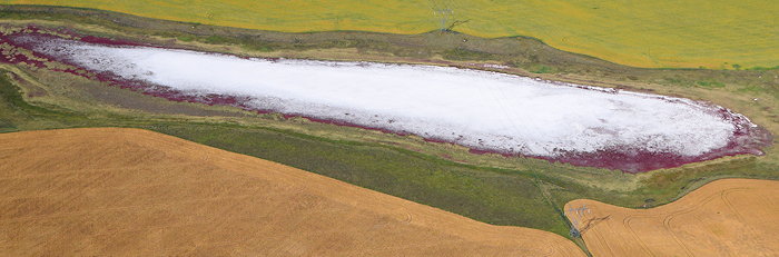 2308 Prairie Salt Lick