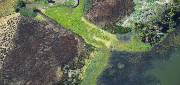 0788 Earth, Water, Life