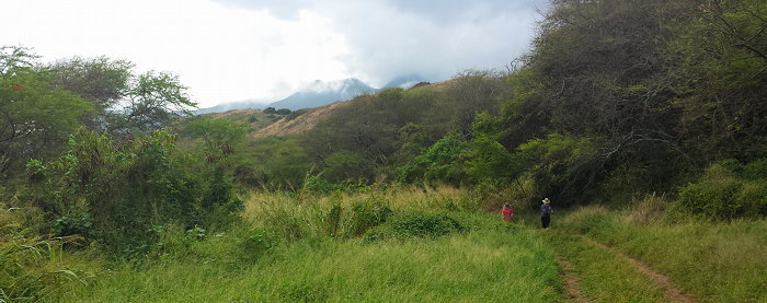 152747 Wandering Waihe'e