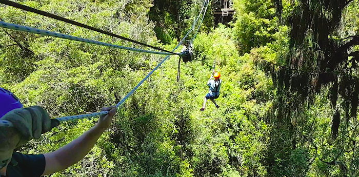 134110 Anne Finally Zips