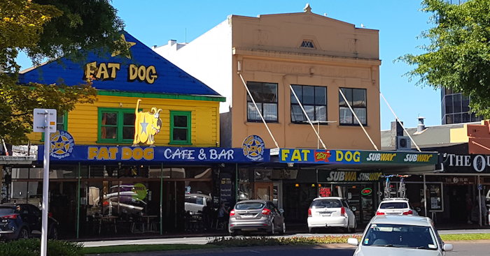 155933 Delicious Fat Dog