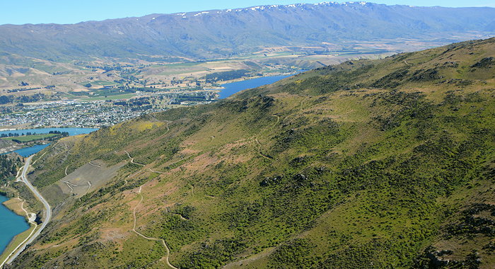 1020 Cromwell & Beyond