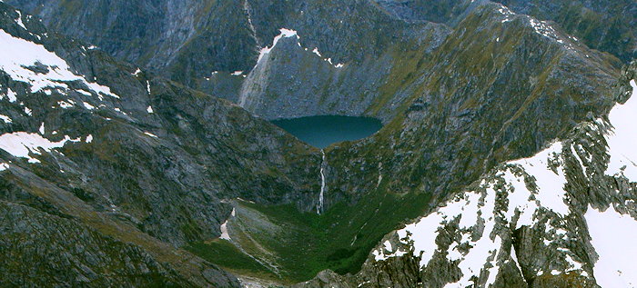 2175 Iceberg & Flower