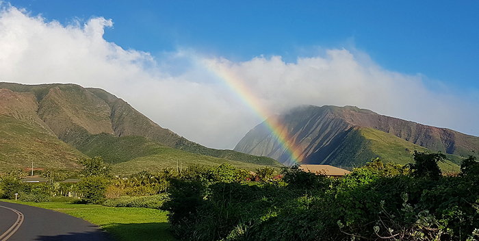 165147 Rainbow Greeting
