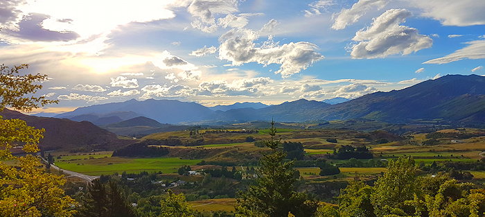 193442 Magnificence Immunity