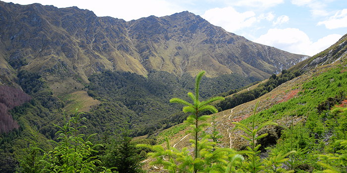 2743 Wilderness Invitation