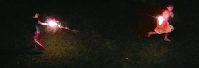 203500 Sparkling Youth