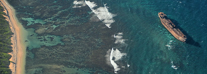 3394 Last Port of Call