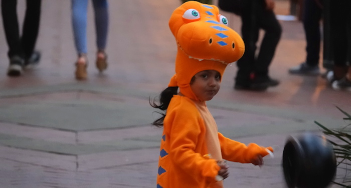 01299 Monster Bucket