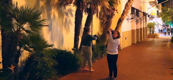 01320 Shutter Surround