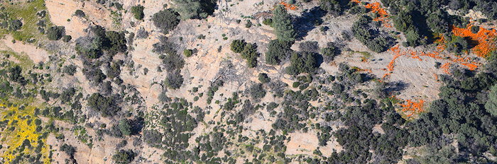 6359 Clinging Colors