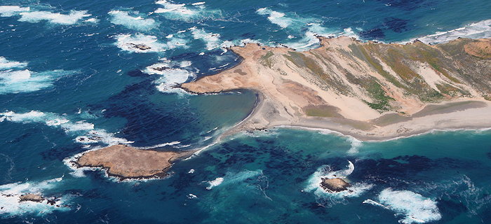 7784 West San Miguel Island