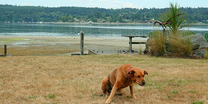 3912 Perfect Front Porch