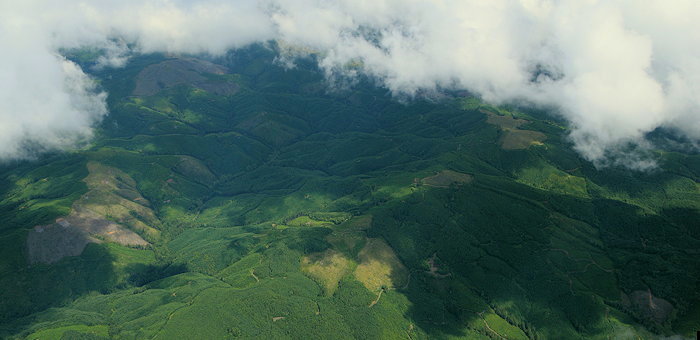 8399 Blue thru White to Green