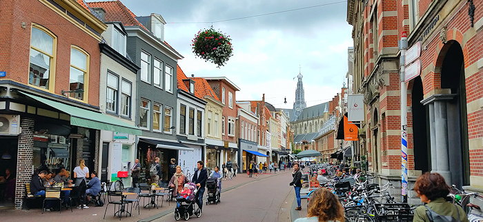 164300 Morning Stroll