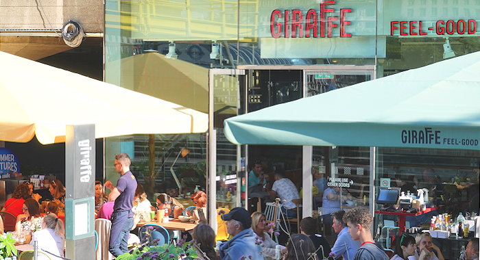 5588 Giraffe Feel Good