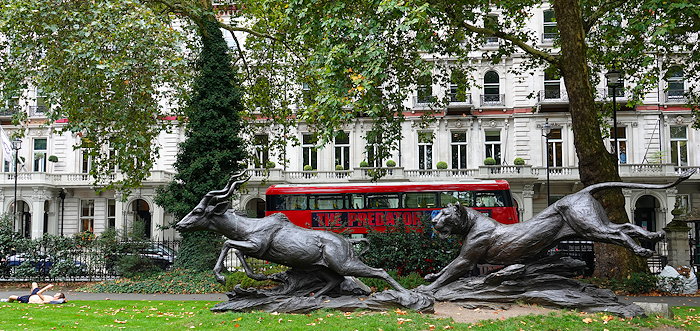 6703 Predator, Prey, Reader