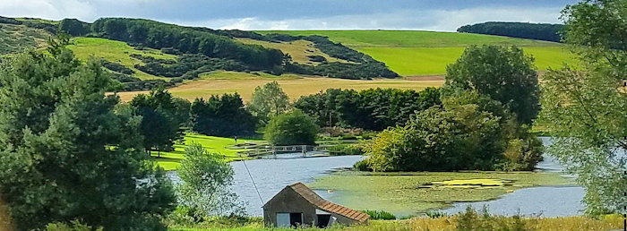 124536 Earthy Essence