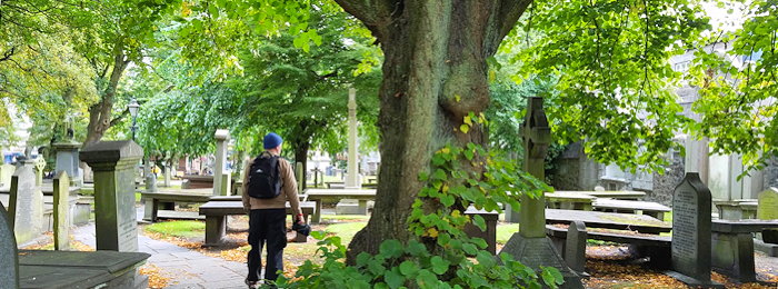 162420 Ancestral Memories