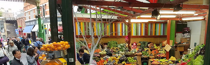 114452 Colorful Bounty