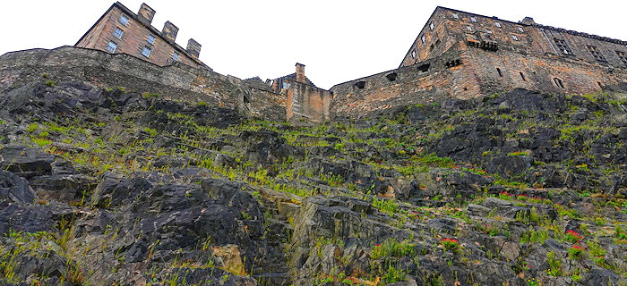 7585 Bus Top to Castle