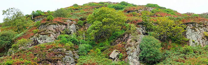 8146 Timeless Shapes & Colors